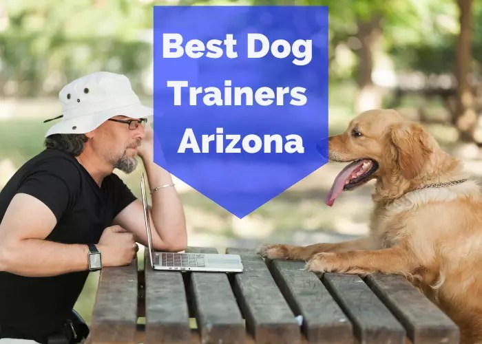 Top 10 The Best Dog Trainers in Arizona