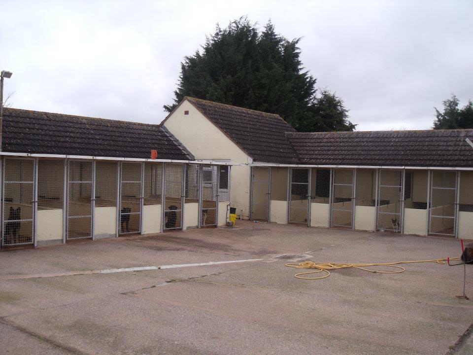 Paws A While Boarding Kennel in East Devon