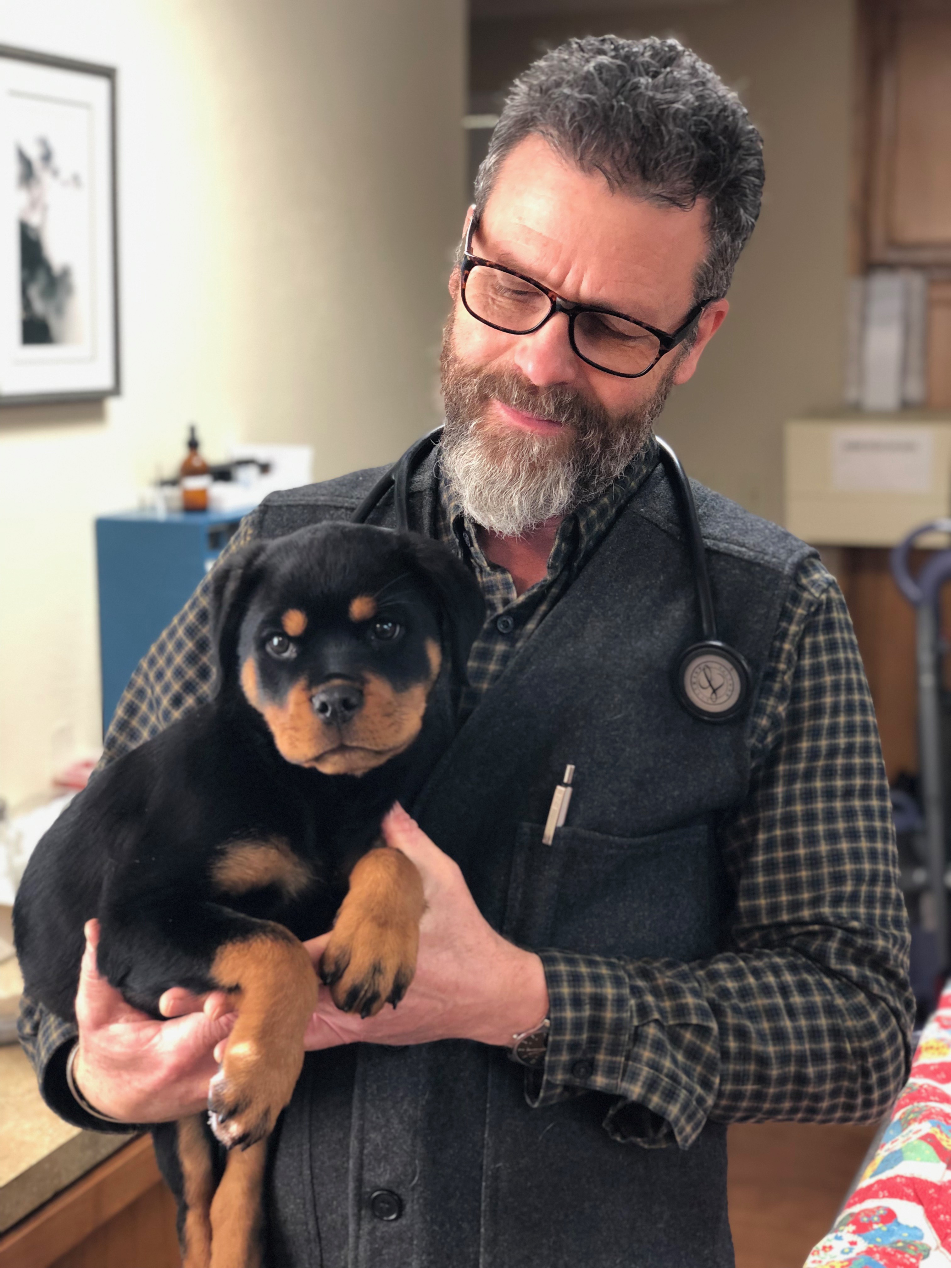 Treating Pets from Ashland, Medford, Jacksonville, Applegate and the