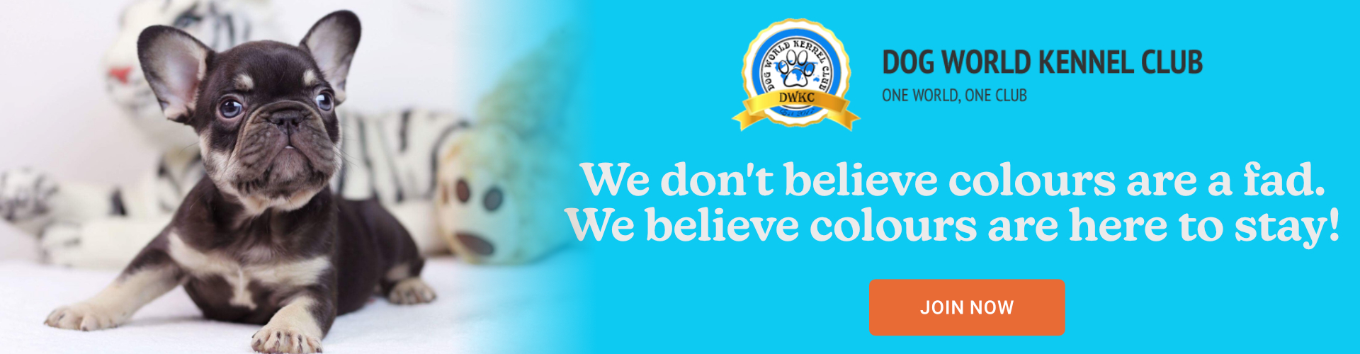 AnimalMicrochips Home