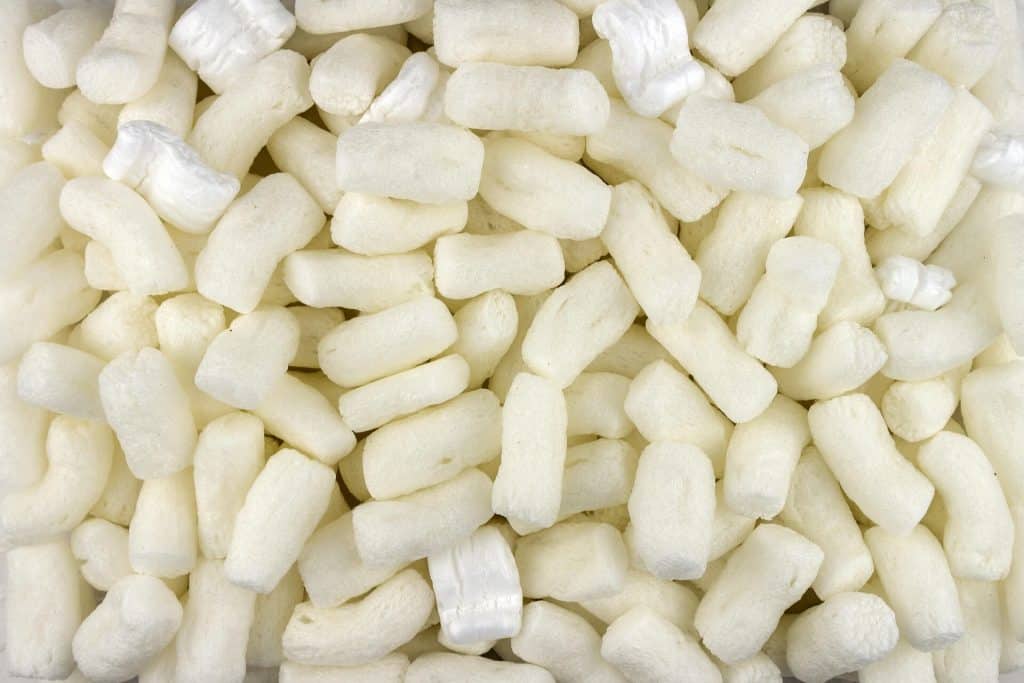 My Cat Ate Styrofoam What Should I Do Now?