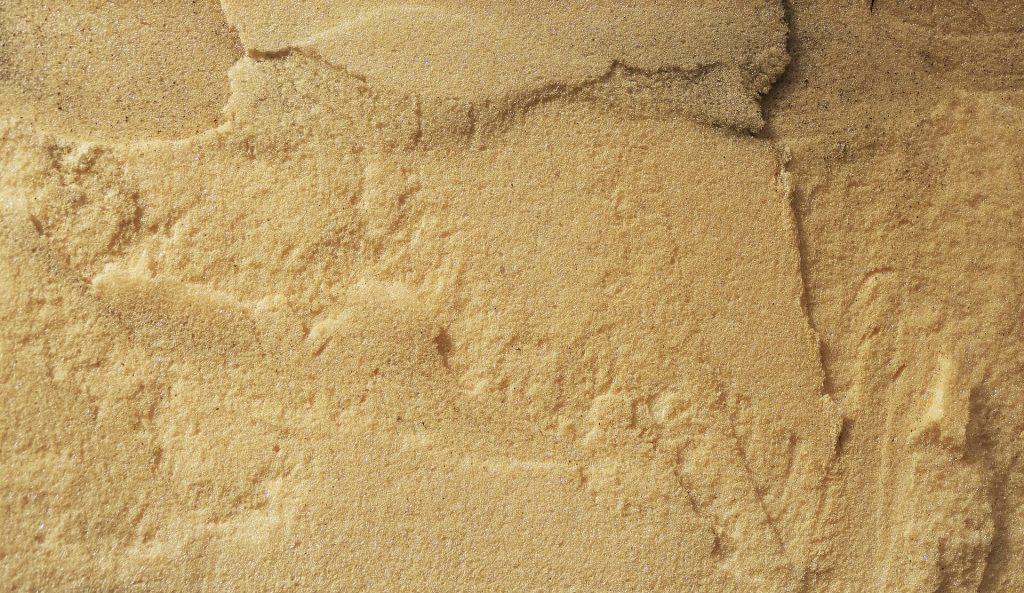 My Dog Ate Insulation What Should I Do Now?