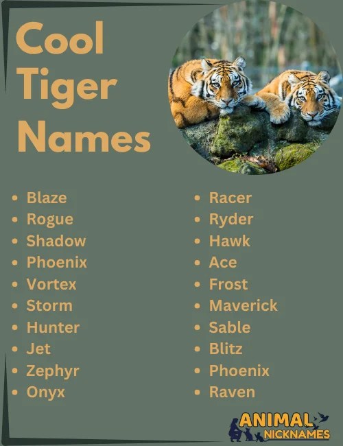 Tiger Cat Names