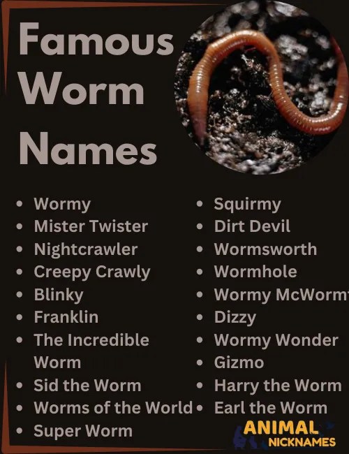 450+ Creative and Fun Worm Names for Your Wriggly Friend