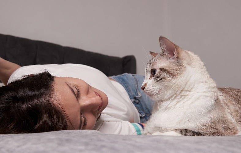 Why Does My Cat Stare At Me While I Sleep?