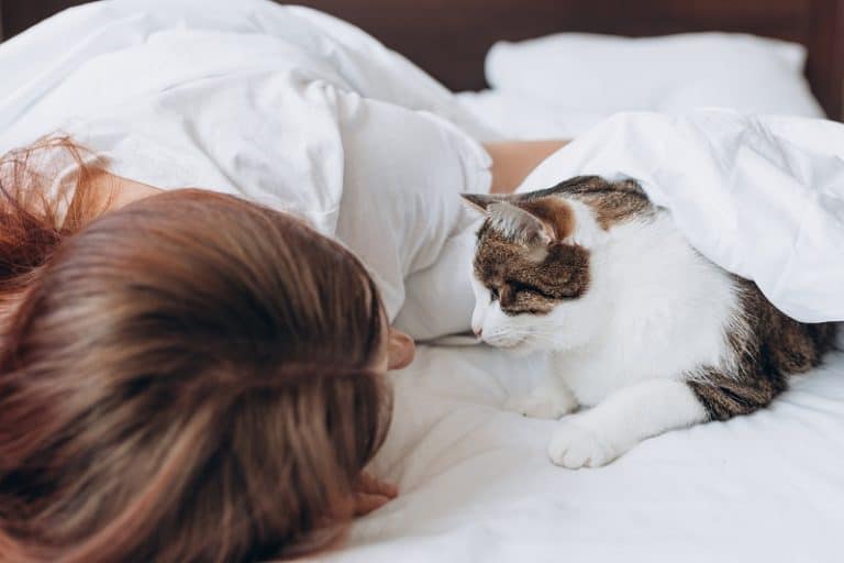Why Does My Cat Sniff My Face?