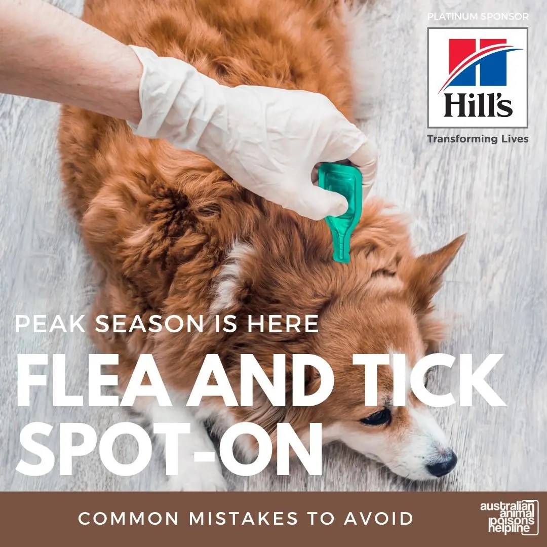 Flea And Tick SpotOn Animal Poisons Helpline