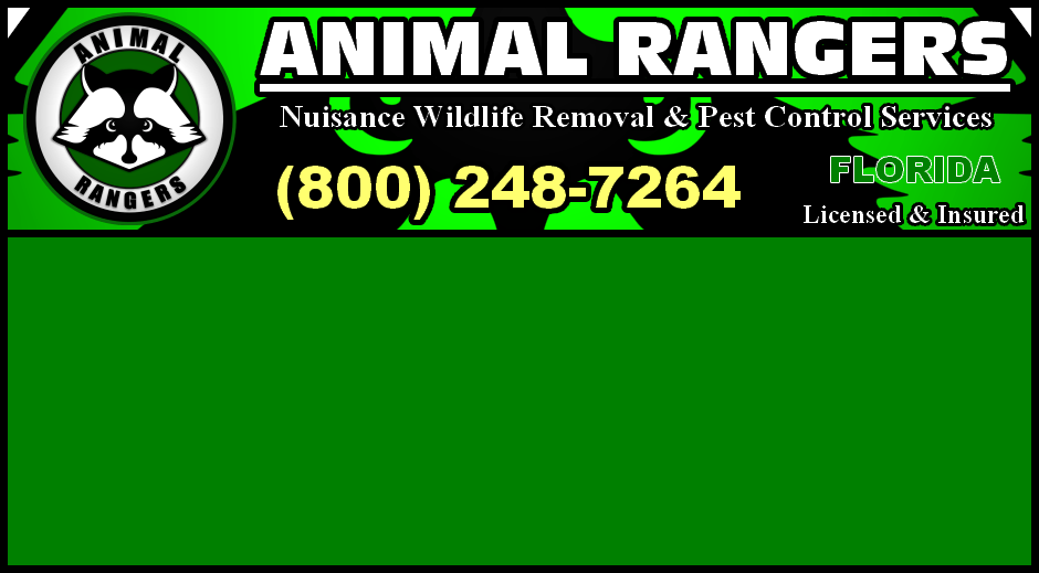 Animal Rangers Nuisance Wildlife Control & Pest Control Services