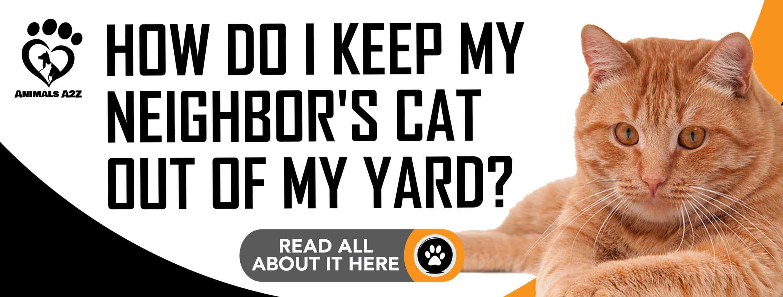 How do I keep my neighbor's cat out of my yard? [ Detailed Answer ]