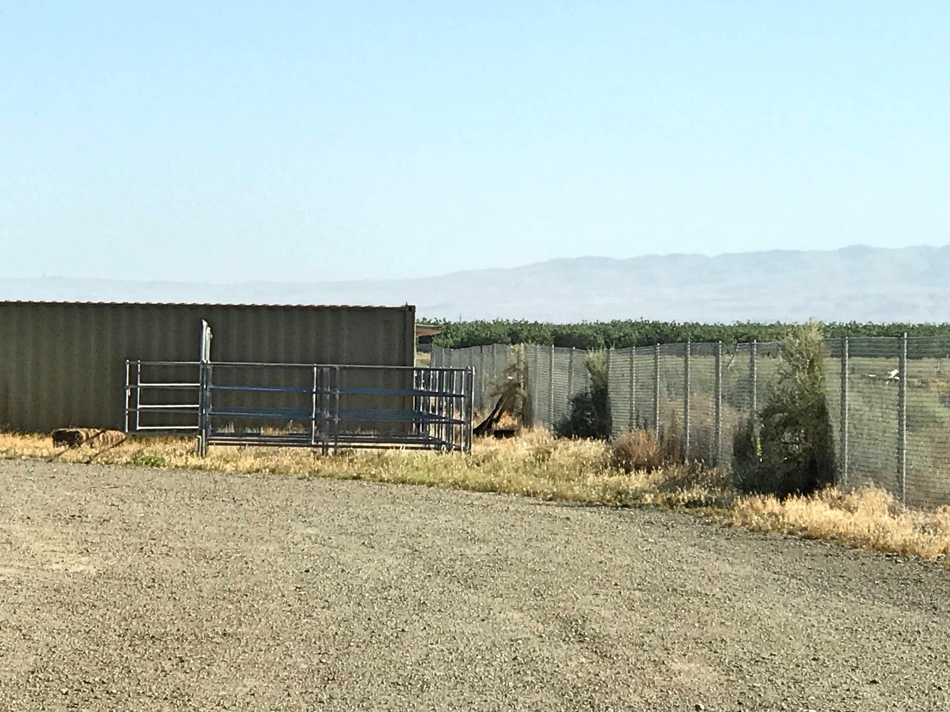 Lost Hills RV Park, Lost Hills, CA Animals Aboard