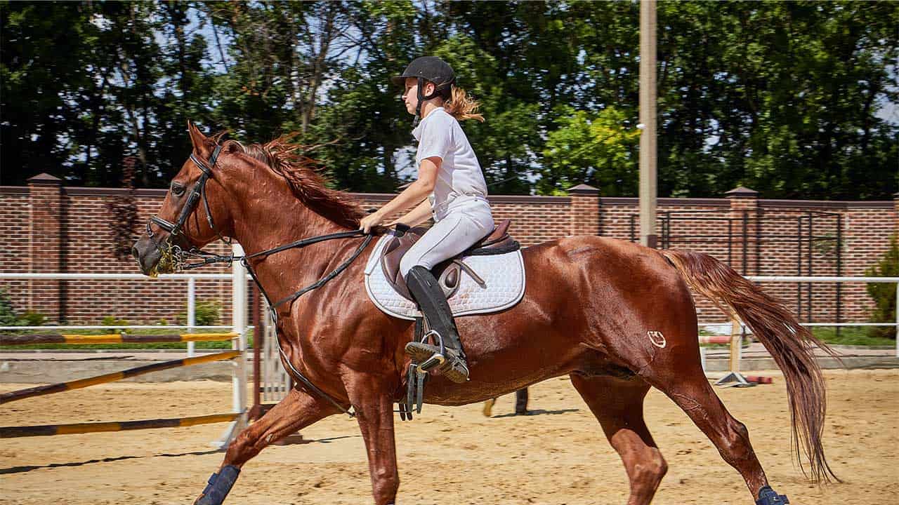 5 Best Horse Riding Boots For Short Riders 2022