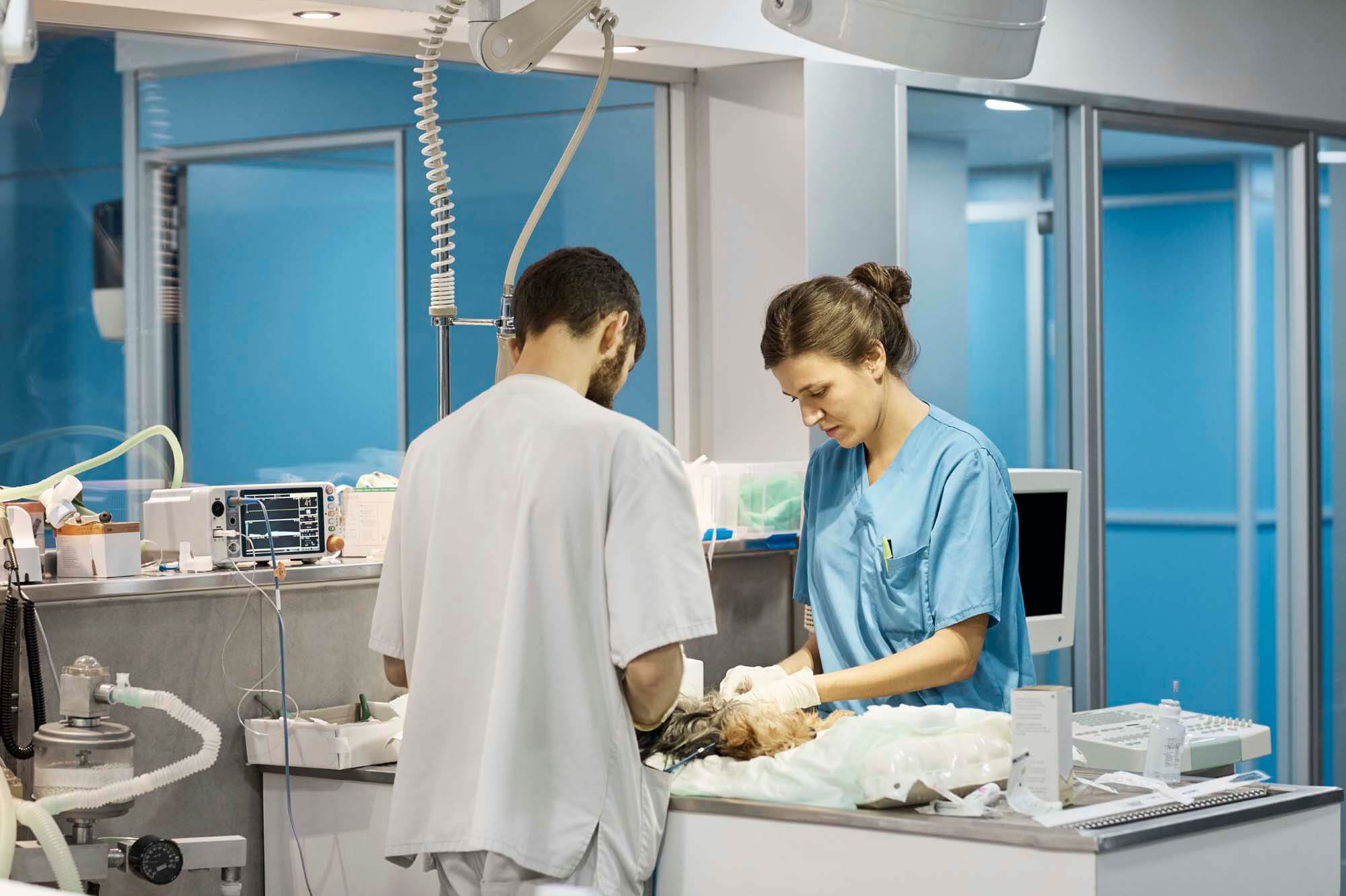 CampbellRedwood Outpatient Center Location AnimalScan