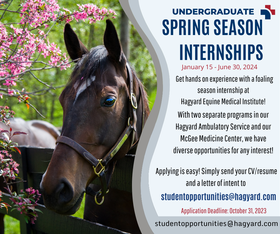 Undergraduate Student Opportunities from the Hagyard Equine Medical