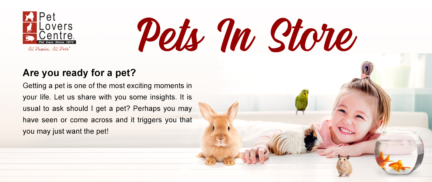 Animals in Store Pet Lovers Centre