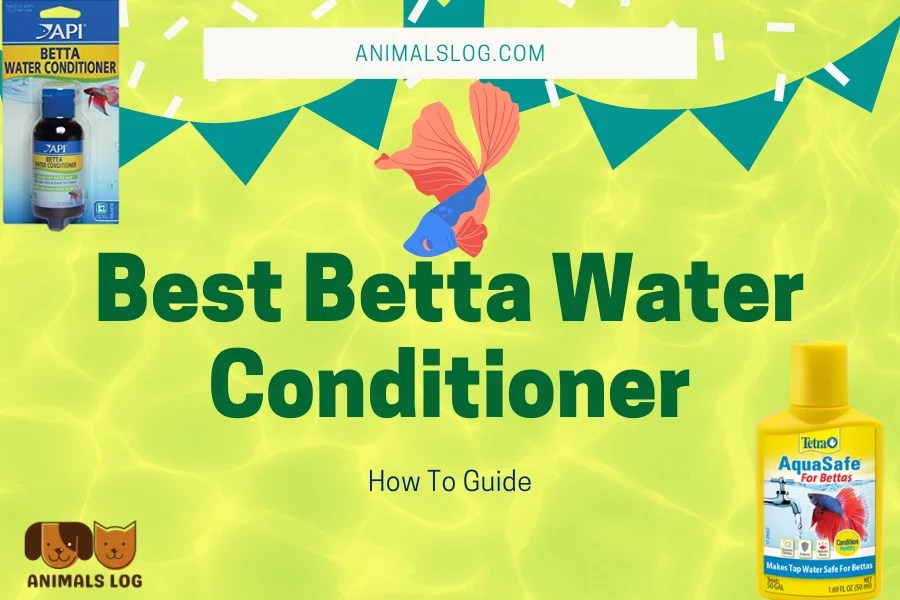 Top 5 Best Betta Water Conditioner And How To Guide Animals Log