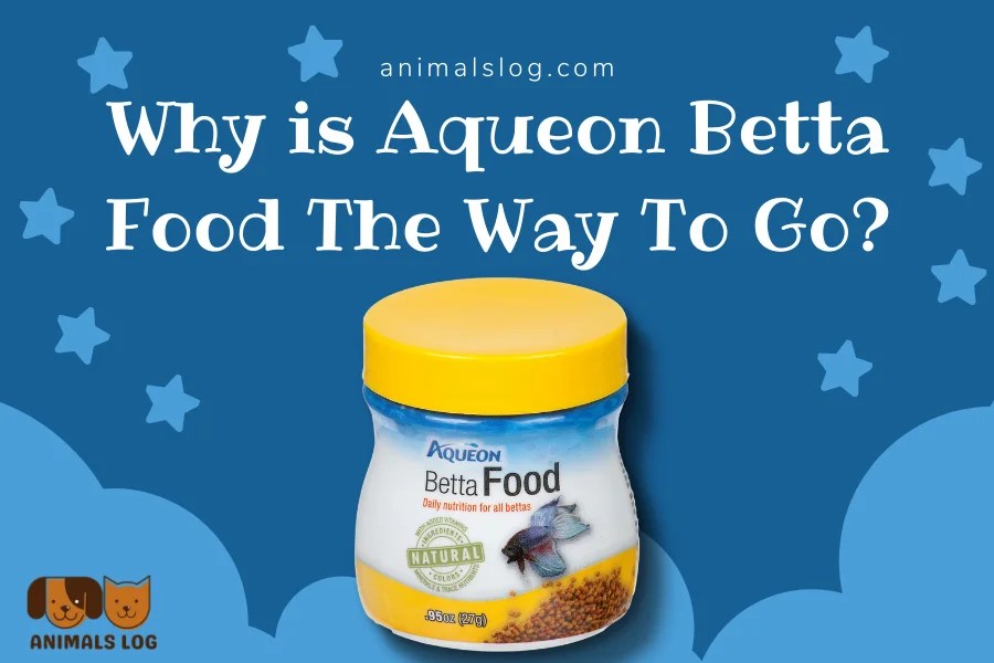 Why is Aqueon Betta Food The Way To Go? Animals Log