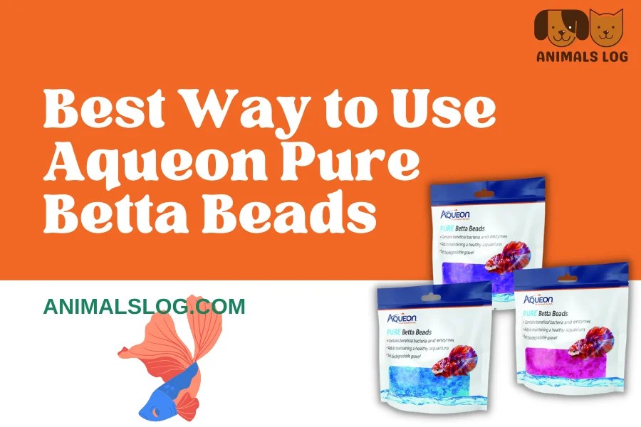 Best Way to Use Aqueon Pure Betta Beads Animals Log