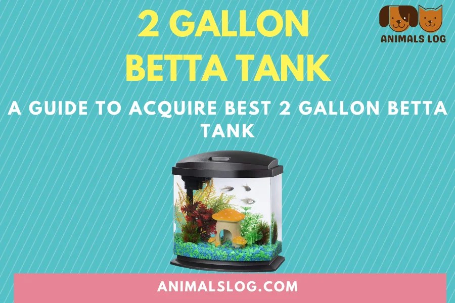A Guide To Acquire Best 2 Gallon Betta Tank Animals Log