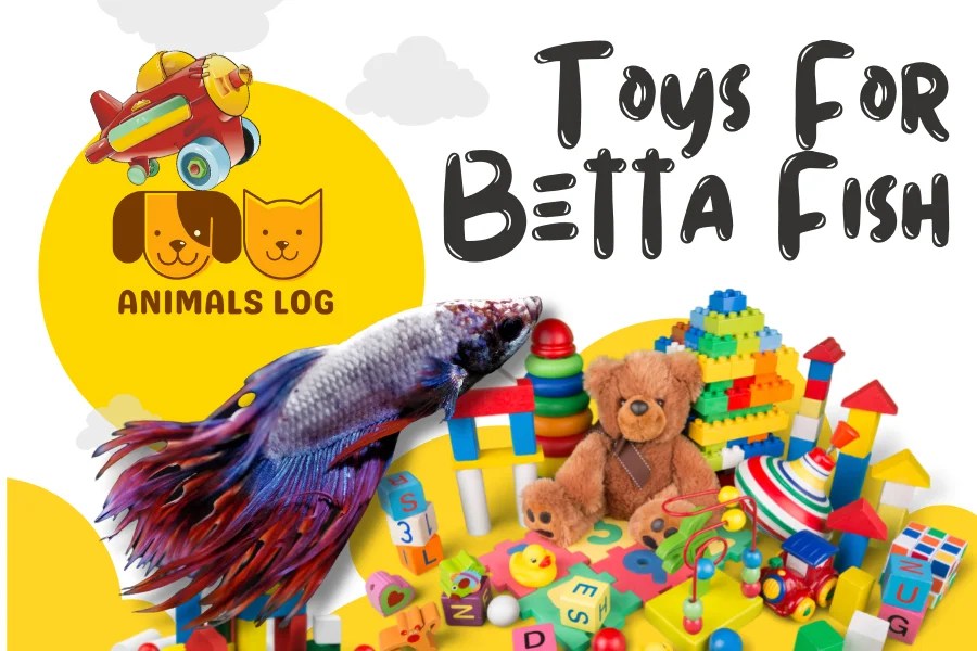 5 Finest Toys For Betta Fish A Cure To Boredom? Animals Log