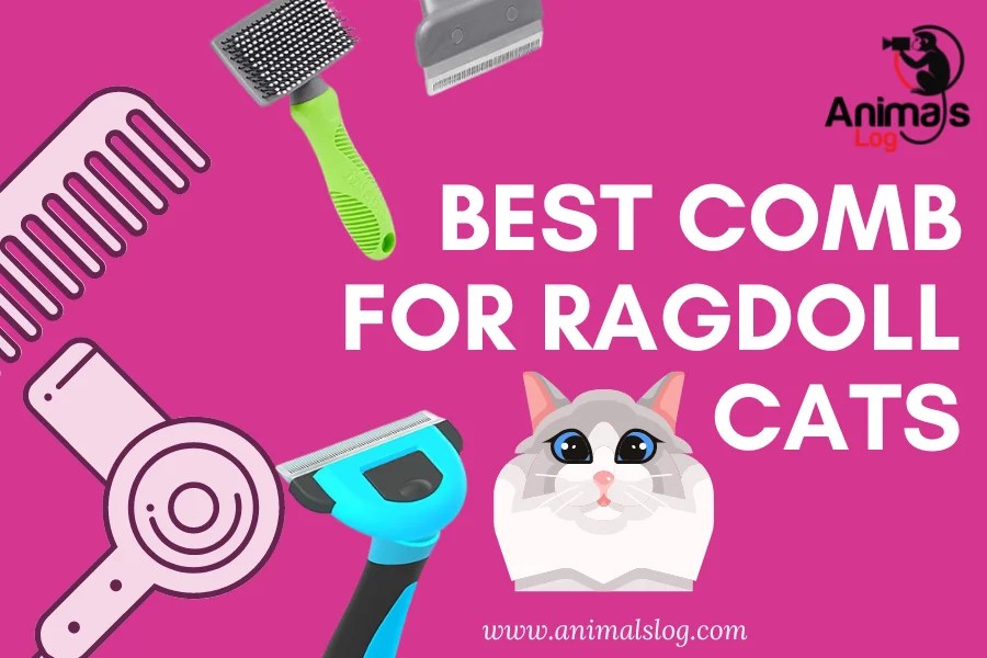 3 Best Comb For Ragdoll Cats You Must Buy! Animals Log