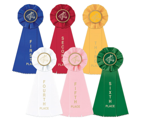 How To Take Care Of Horse Show Ribbons Animals Log