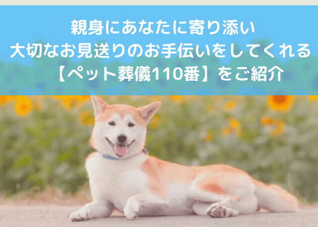 【後悔したくない】ペット葬儀110番は信頼できる？口コミ・評判は？ ペット葬儀情報を配信するサイト