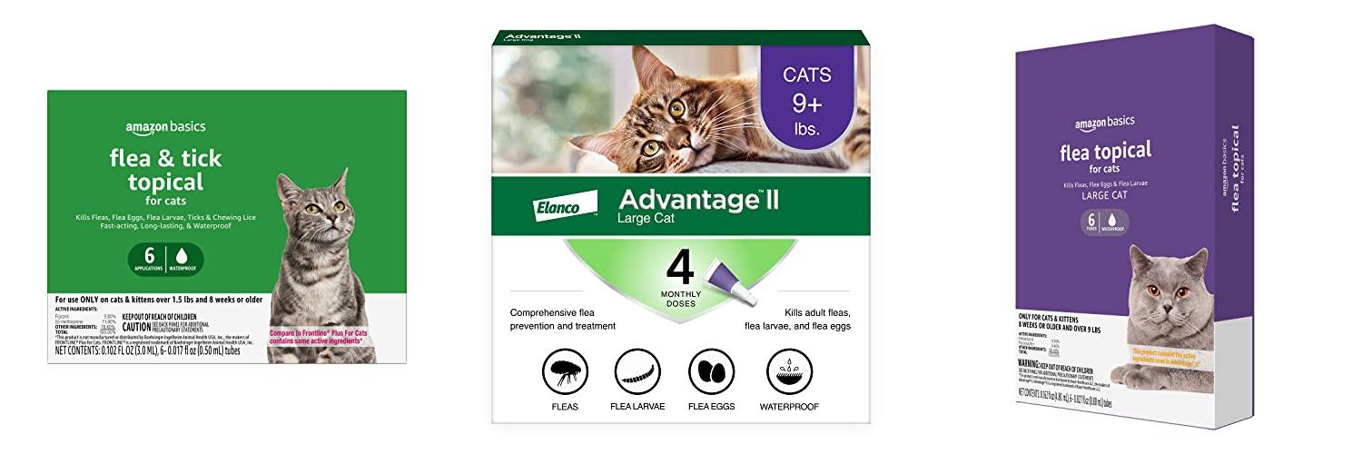 Top 5 Flea Meds For Cats Expert Reviews &amp; AnimalsPick