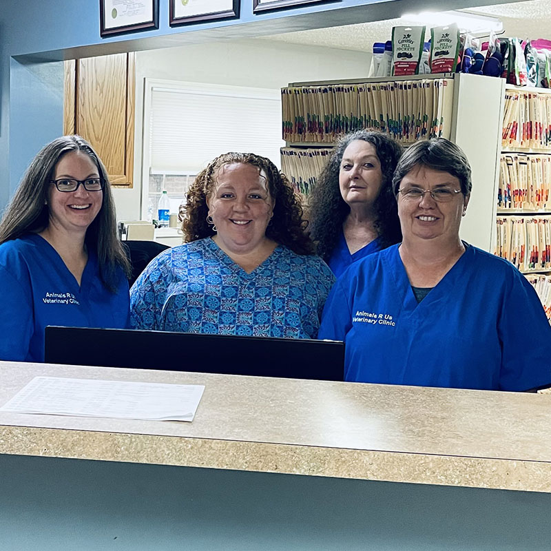 animals r us hendersonville nc fineartphotographyconceptualmen