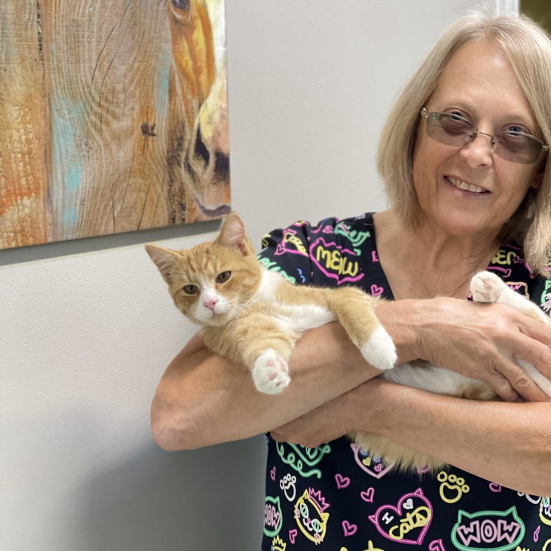 animals r us hendersonville north carolina Jovita Beaudoin