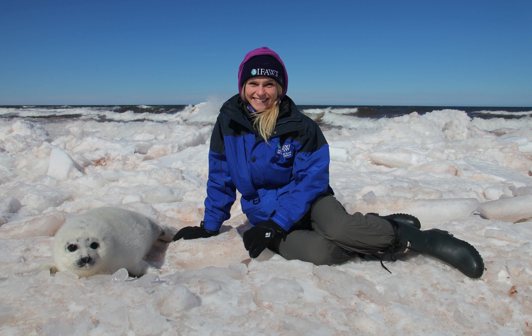 seal hunting should be banned in canada