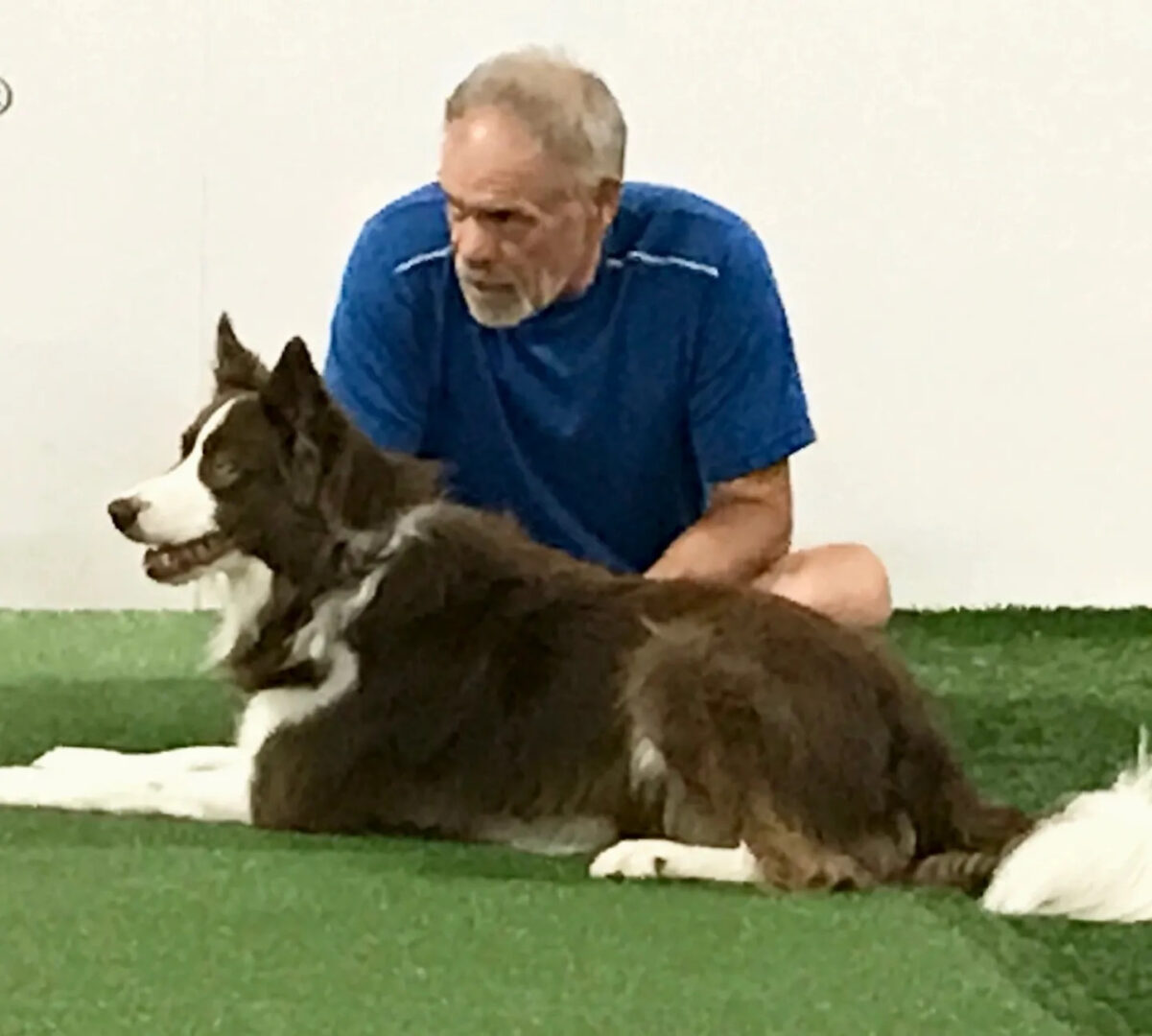 Dog Boarding Kennel in Vermilion, OH Animal Watchers Pet Resort