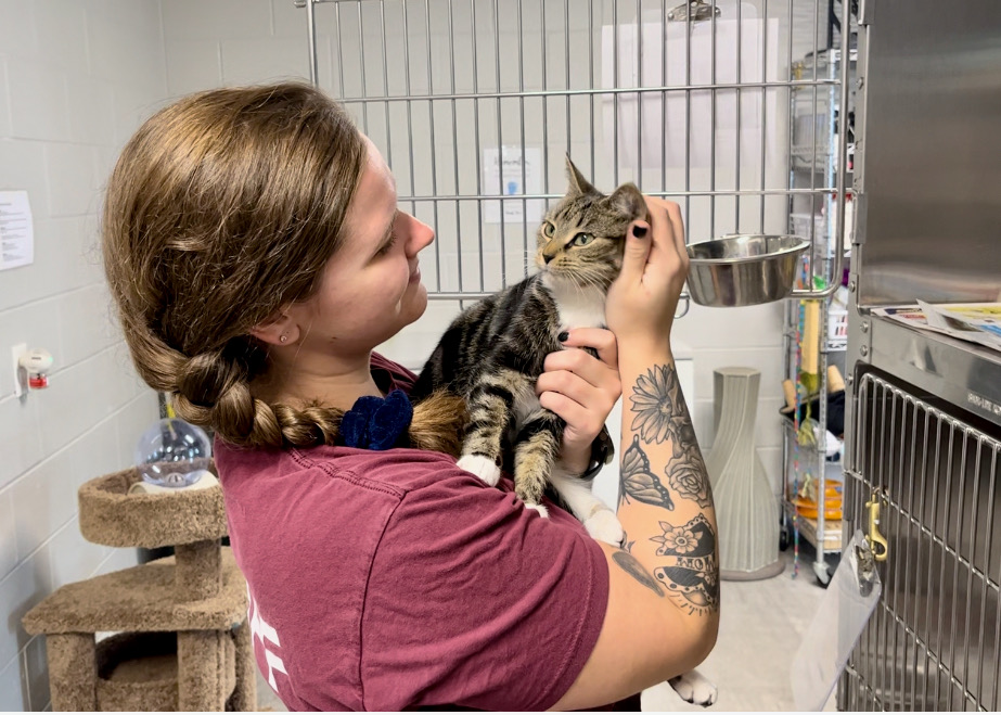 Taking care of feral cats Animal Welfare Society