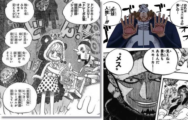 【ワンピース】 三大能力詰め込み過ぎの悪魔の実『ホビホビの実』『ニキュニキュの実』『オペオペの実』 あにまんch