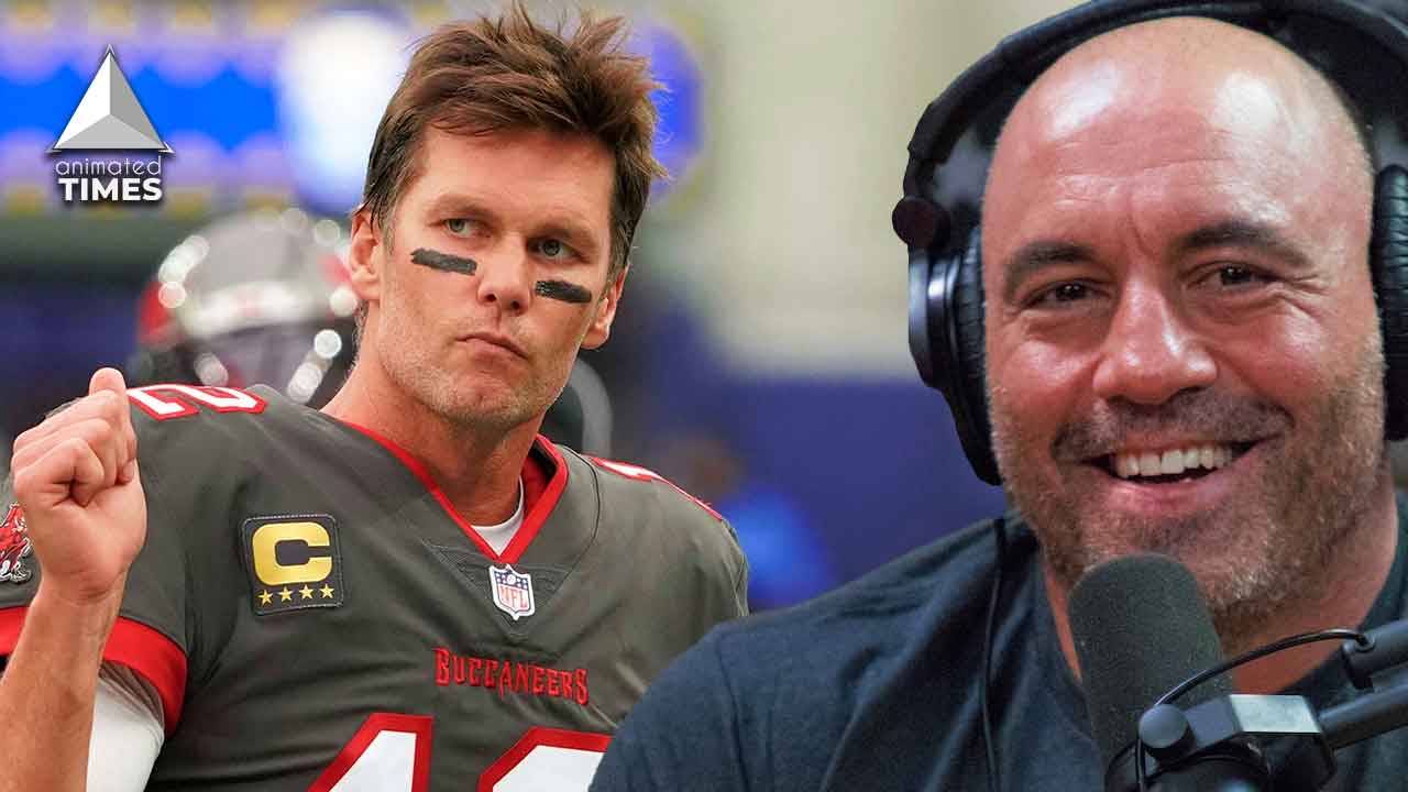 “He’s totally normally looking” Joe Rogan Slammed Tom Brady For Having