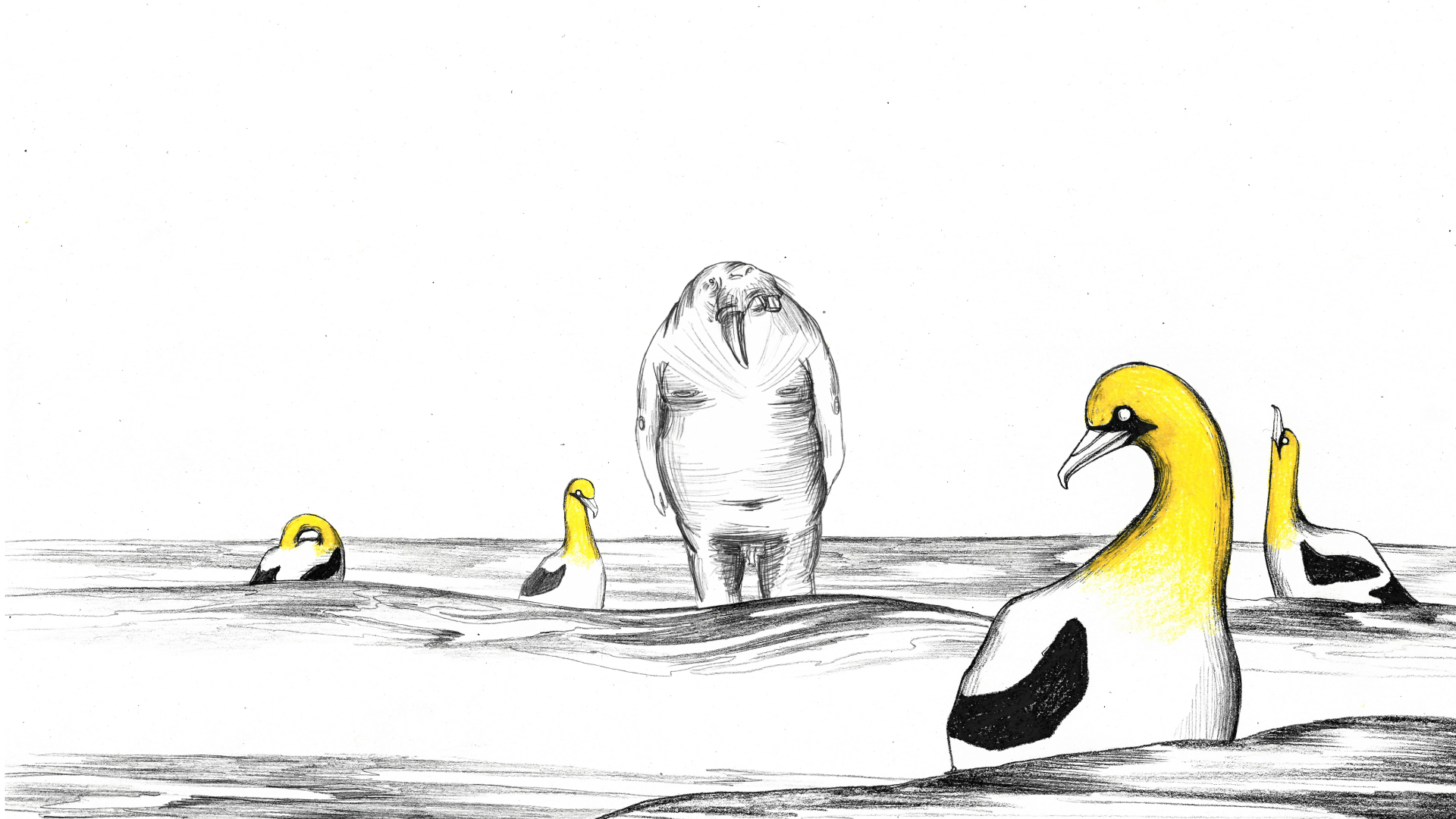 Nigel ANIMATRICKS 2021