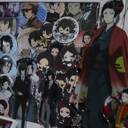 Official Goods Anime Evolution
