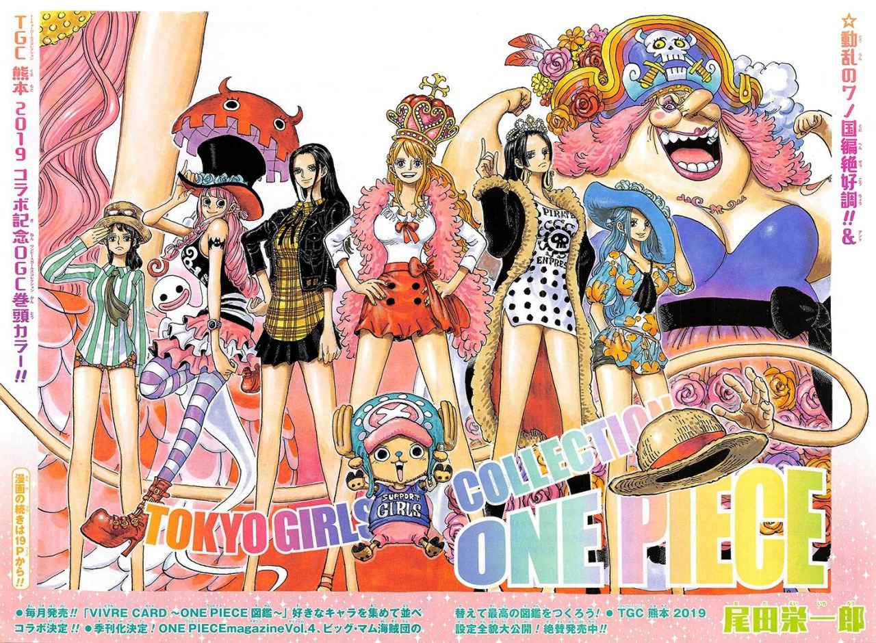 ‘One Piece Novel Heroines’ Series Releases In Japan Animehunch