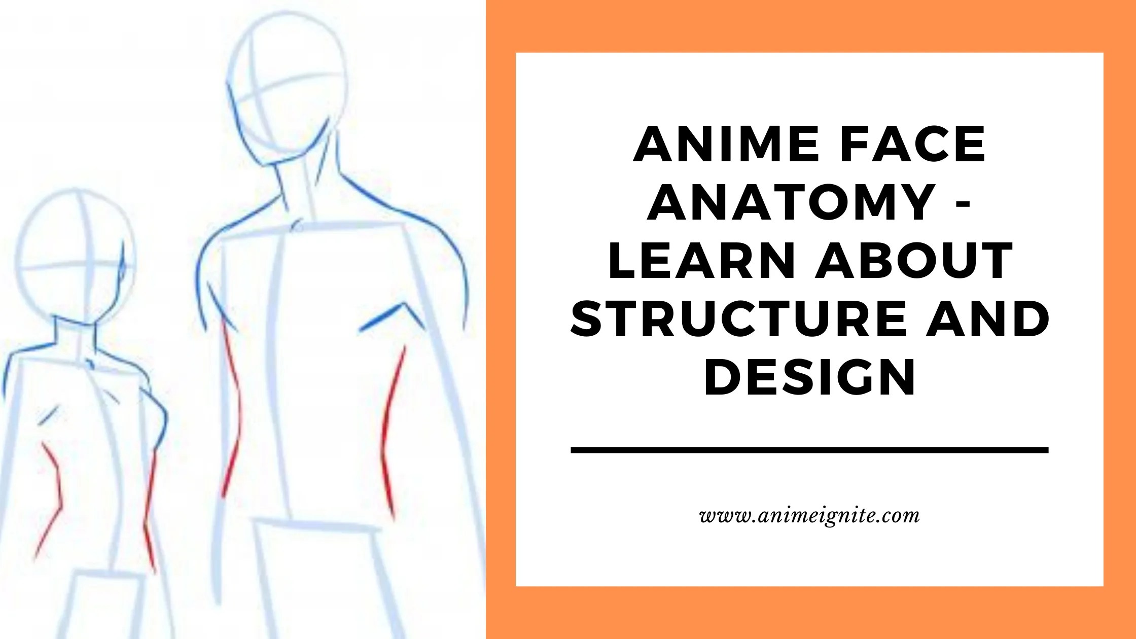 Anime Face Anatomy Learn all about Structure and Design