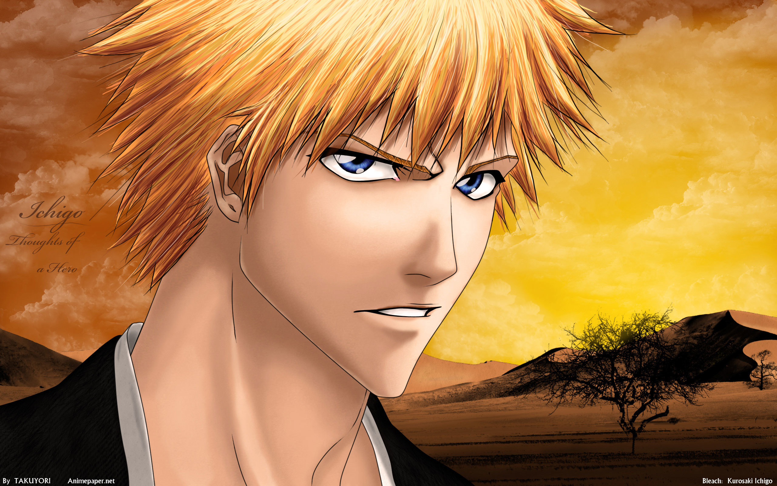Bleach 2560x1600px