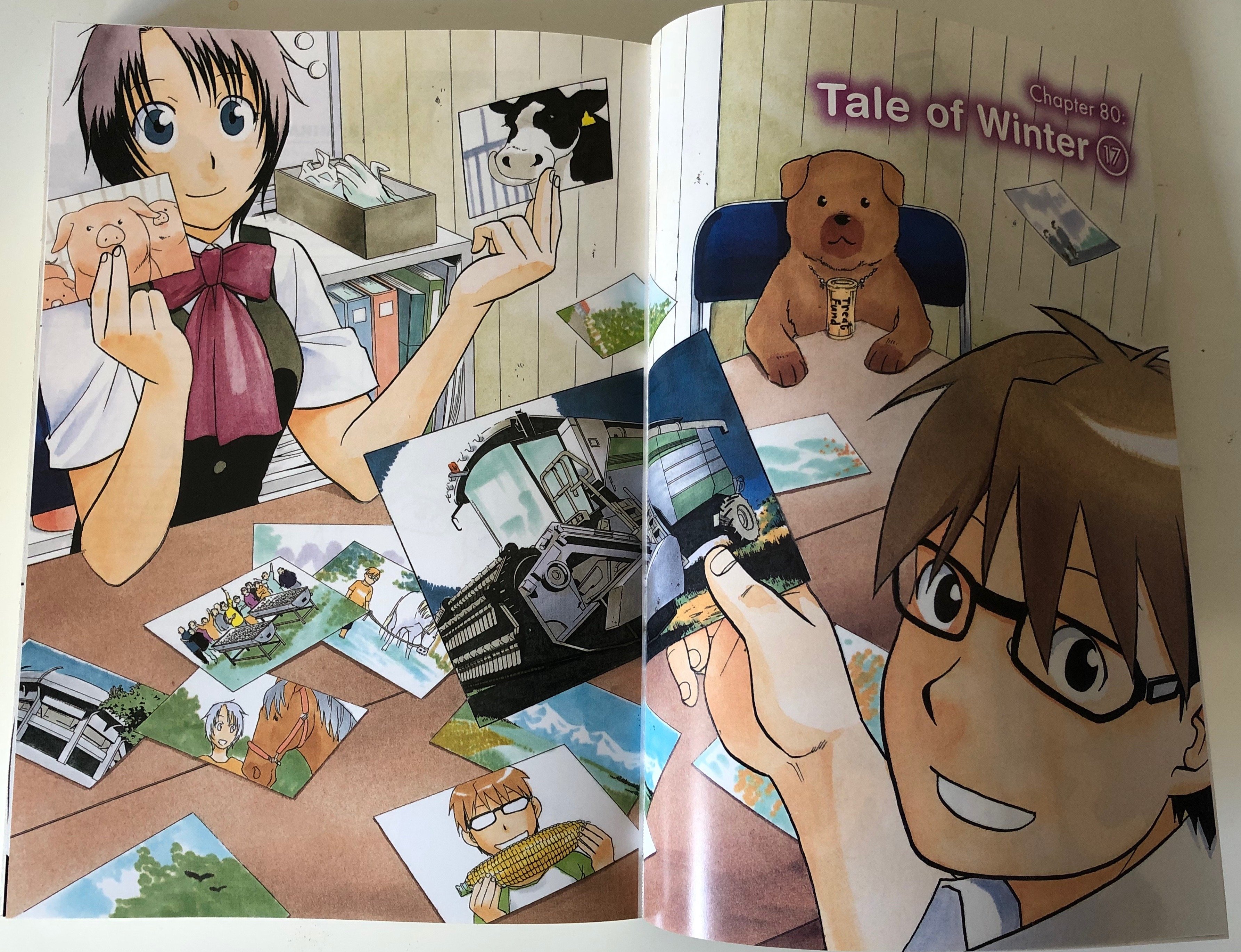 Silver Spoon Volume 10 Manga Review • Anime UK News