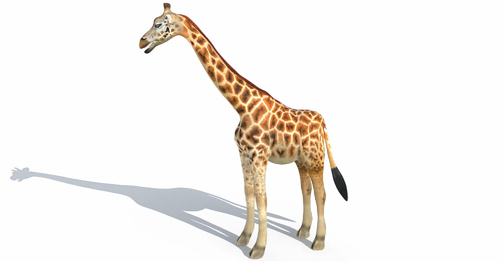 Giraffe 3d model