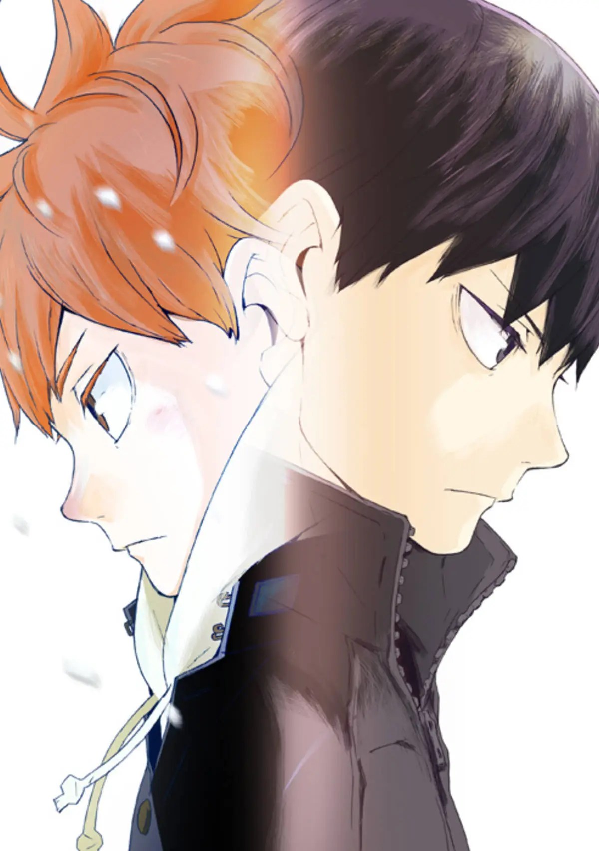 Baki Saison 4 Date De Sortie Haikyu!! saison 4 partie 2 : La date de sortie dévoilée | Anim'Otaku