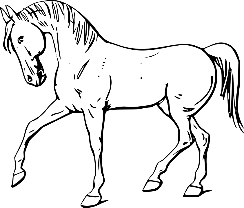 Dessin de cheval