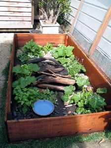 Construire un enclos pour tortue