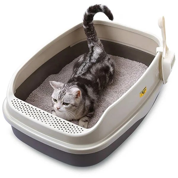 Cleaning Tips for a Healthy Home When Your Cat Has Worms