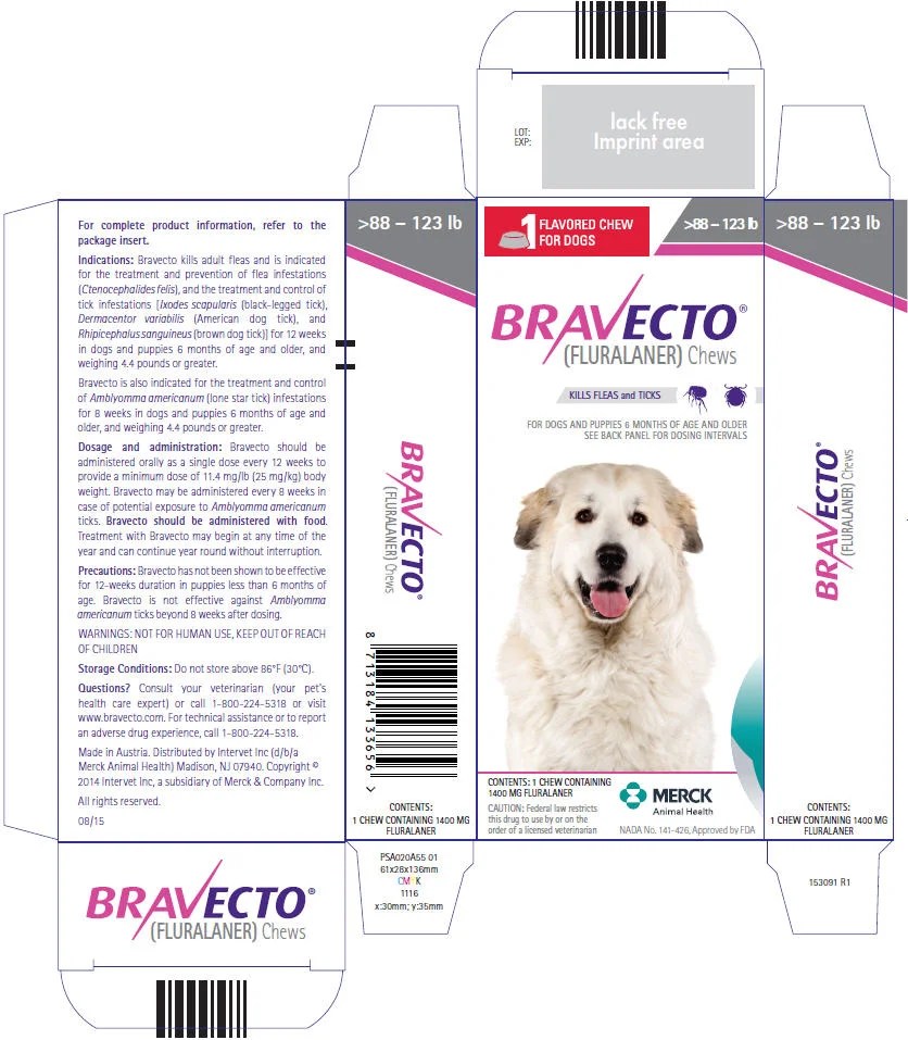 How quickly does Bravecto kill fleas