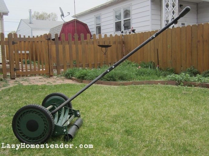 How Long Do Push Reel Mowers Last? Green Lawn Cares