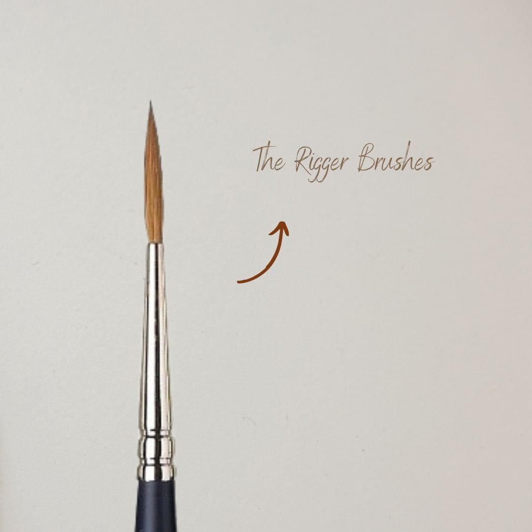 What Are The Different Parts And Shapes Of A Paint Brush? Anita