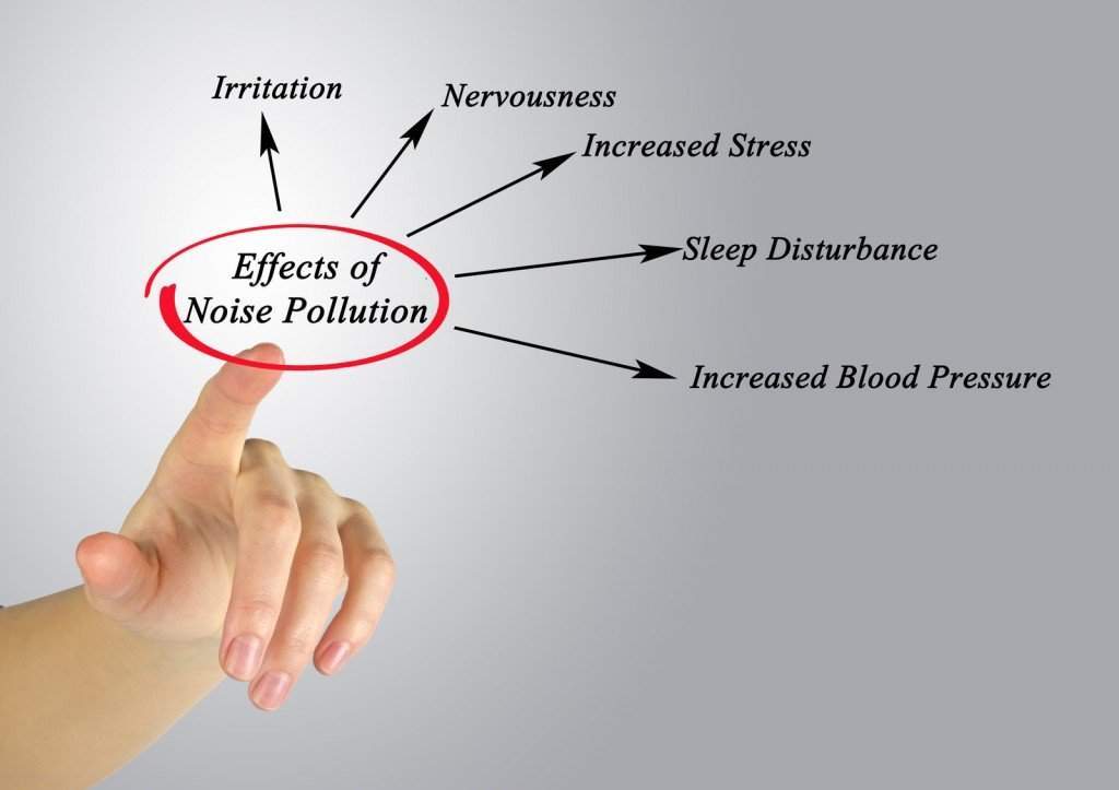 Effects of Noise Pollution ISO Consultants Australia Get ISO certified