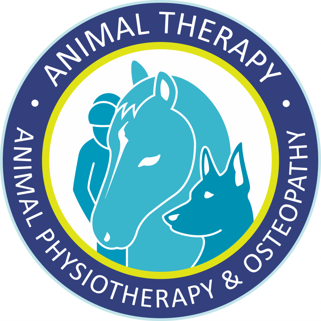 Veterinary Logo and Branding Design